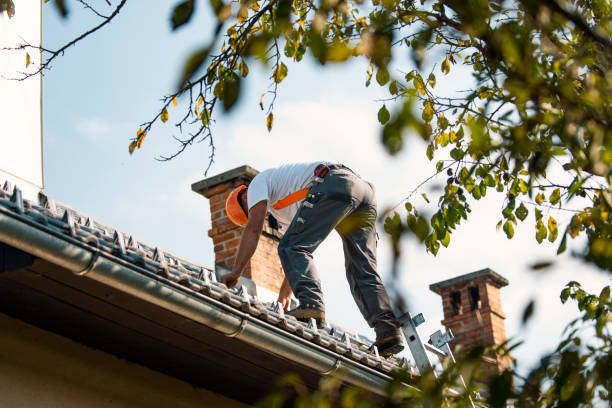 Quick and Trustworthy Emergency Roof Repair Services in Woodville, FL