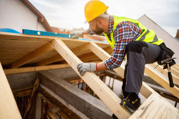 Best Roof Gutter Cleaning  in Woodville, FL